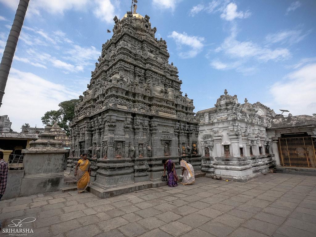 Kurmanathaswamy Temple, Srikurmam